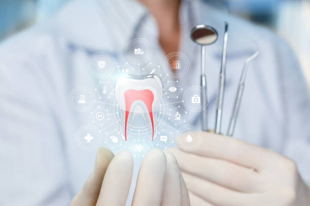 Best Dental X-Rays and Imaging  in Stillwater, MN